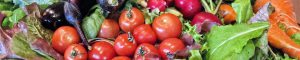 cropped-tomates1.jpg