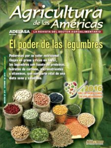 revista