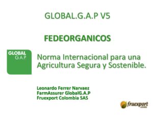 GLOBAL GAP -FRUEXPORT SAS