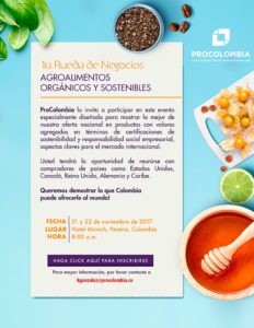macrorueda
