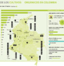 EN COLOMBIA EXPORTAMOS 95% DE LA PRODUCCIÓN ORGÁNICA