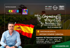 pop-up-antonio-domene