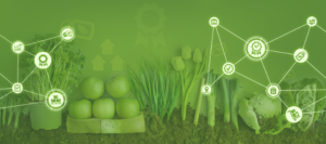 imagen portada organicos